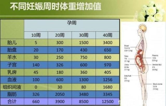 合适|孕期体重增长多少比较合适?三张表格让孕妈们心中有数