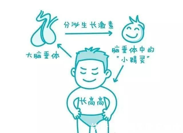 先天性|天使科普:孩子身高不能正常生长怎么办?