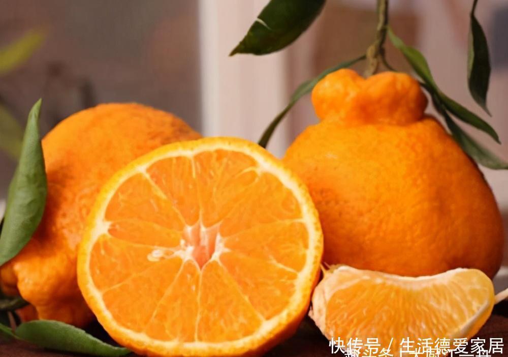 丑橘|聪明人买丑橘时,只看这3个地方,丑橘到手汁多肉甜,涨知识了