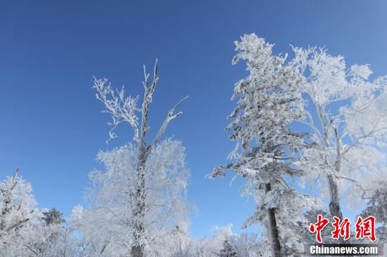 滑雪|吉林北大湖高山雾凇宛如仙境