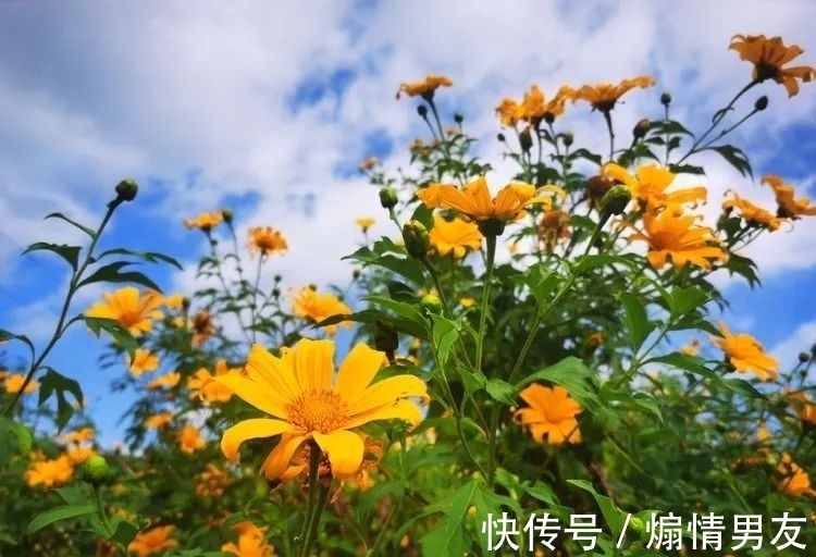 石狗@到南安!到九溪!到那“石狗蛋”的山中世界!