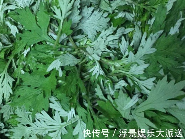 治疗|48岁妇女患颈椎病，竟用一把艾叶给治好了，颈椎不好的学起来