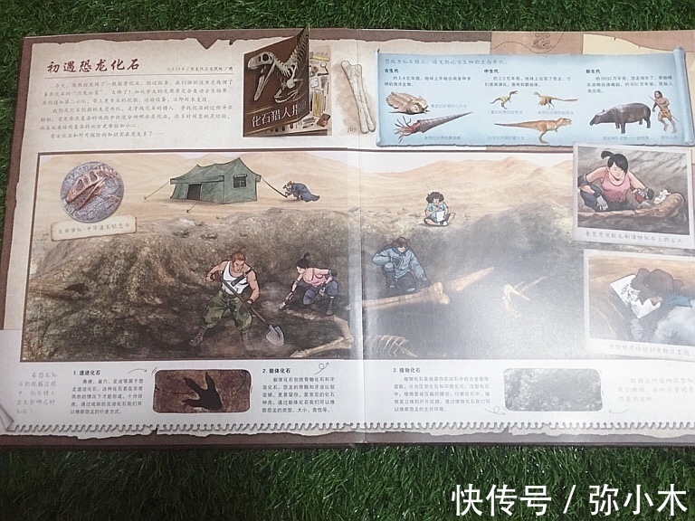 卡琳·西蒙妮|发现孩子的天赋重要,付出努力更重要,藏在童书里的大智慧