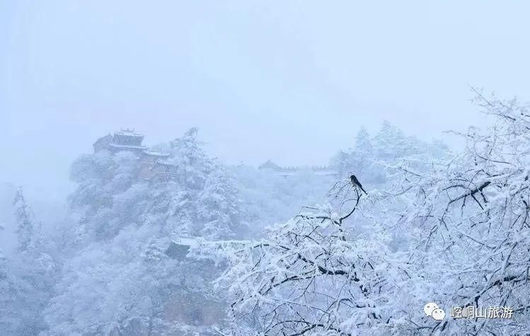 崆峒山下雪了，陪我去一趟可好？