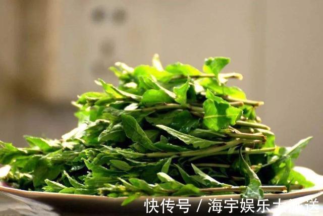 失眠|马齿苋可预防心血管，艾草可以治疗失眠，荠菜可以消除肿胀