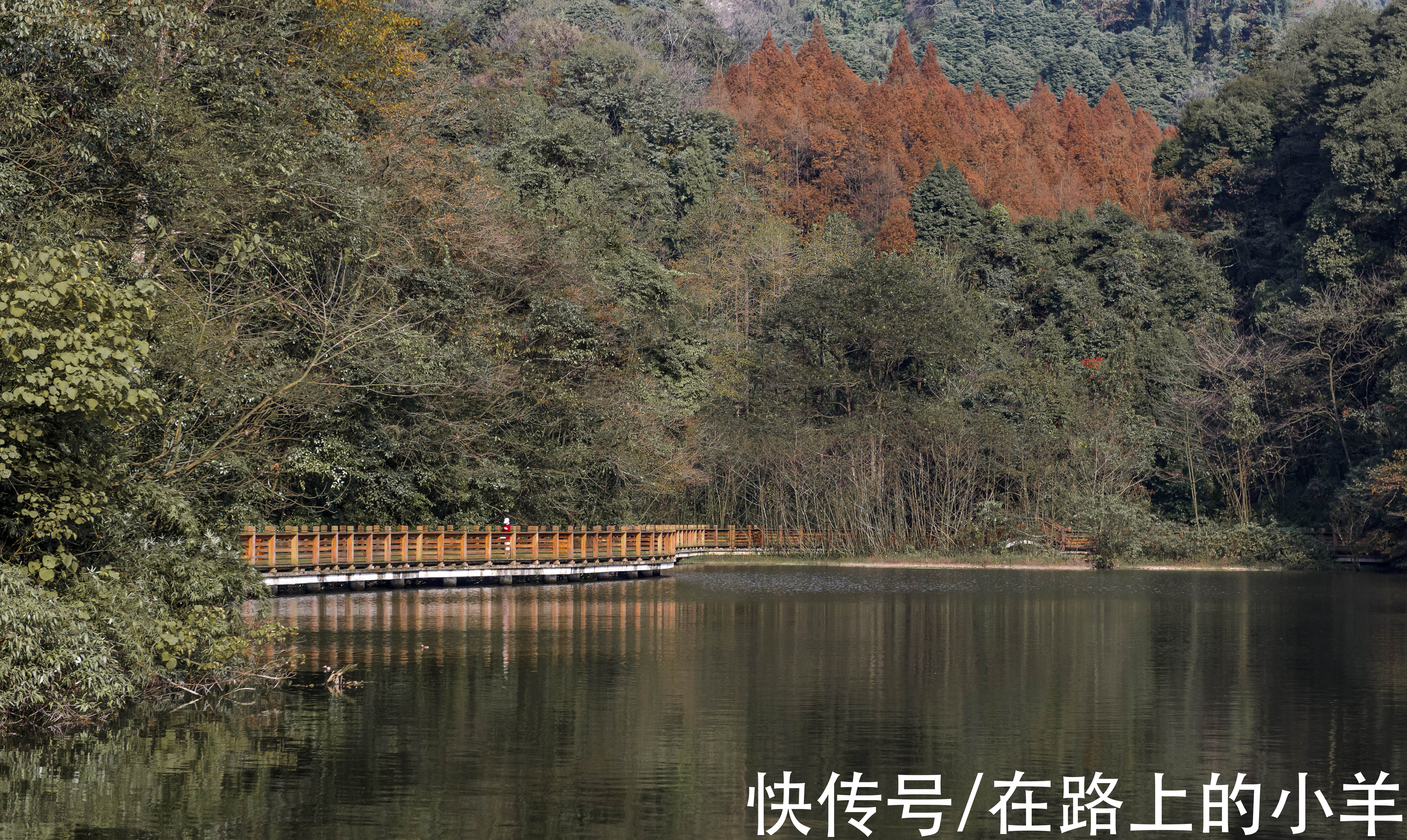 索道|旅游成都唯一的5A景区，感叹山上的风景如此之美，80门票花得很值