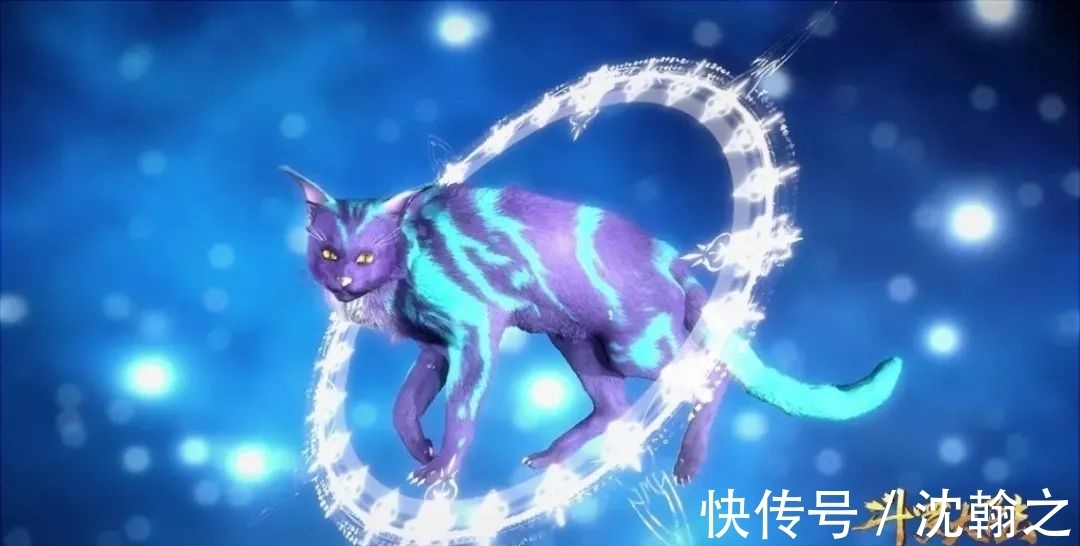 斗罗大陆|斗罗大陆:邪魔虎鲸王魂骨的漏洞被找出,唐三的左腿骨凭空出现