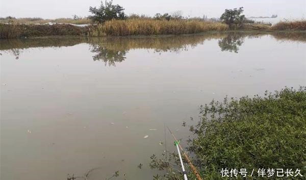 早春钓鱼有套路,注意三小和三找,收获肯定差不了