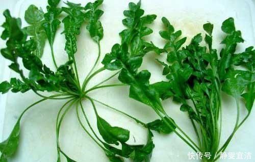 你吃过这道菜吗最喜欢吃这道菜的人