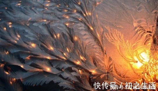 小学绀珠#古籍中发现四千年前曾有人以凤凰为食,此后世间再无凤族的记载