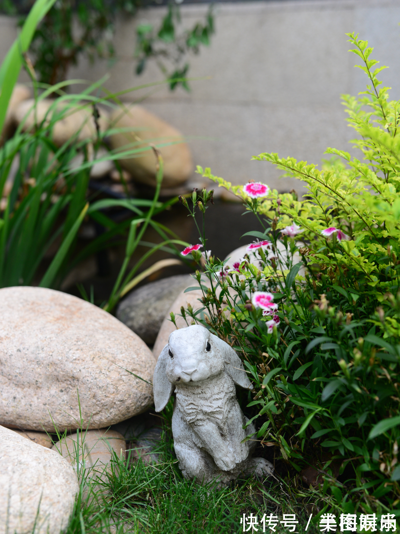 花一万元，在院子里建了个“原生态鱼池”，太漂亮了！