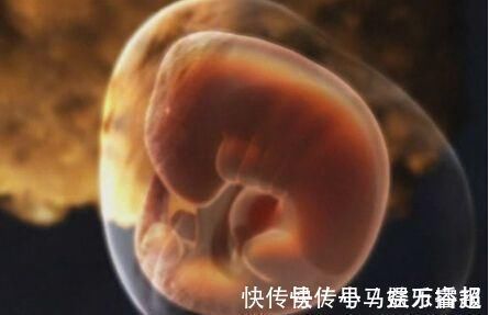 症状|怀孕第一个月身体会出现哪些变化？5大症状你都有，可能怀上了