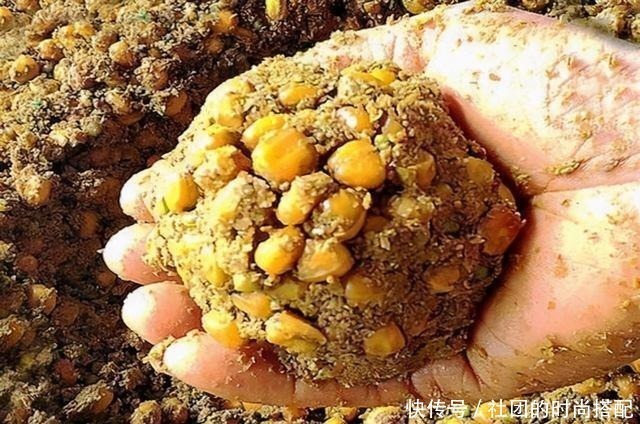 水资源|南方钓友总是不解,为何北方钓友这么痴迷鲤鱼,这次说个透彻!