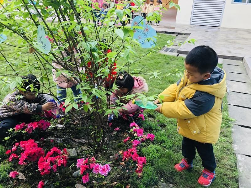 护一片绿添一份美——绥山幼儿园开展植树节活动