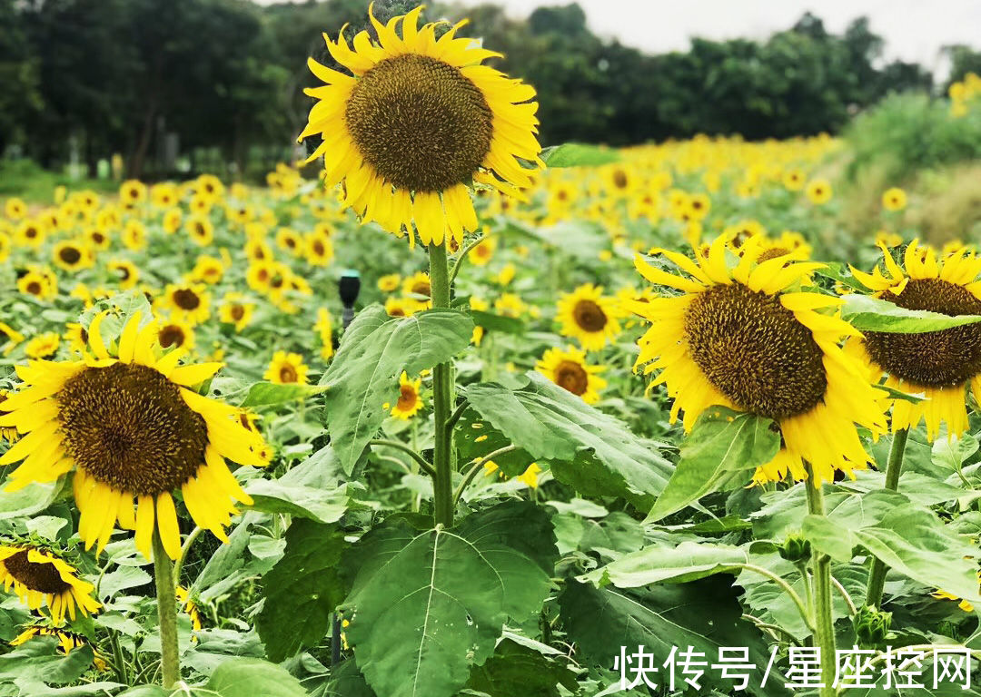 十一月份|啥月份降生之人，11月苦中作乐，12月乐在其中，好日子来临