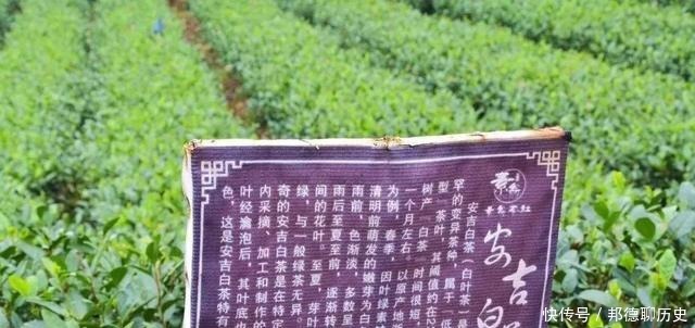 文物|在张场我们发现了明代的文物~