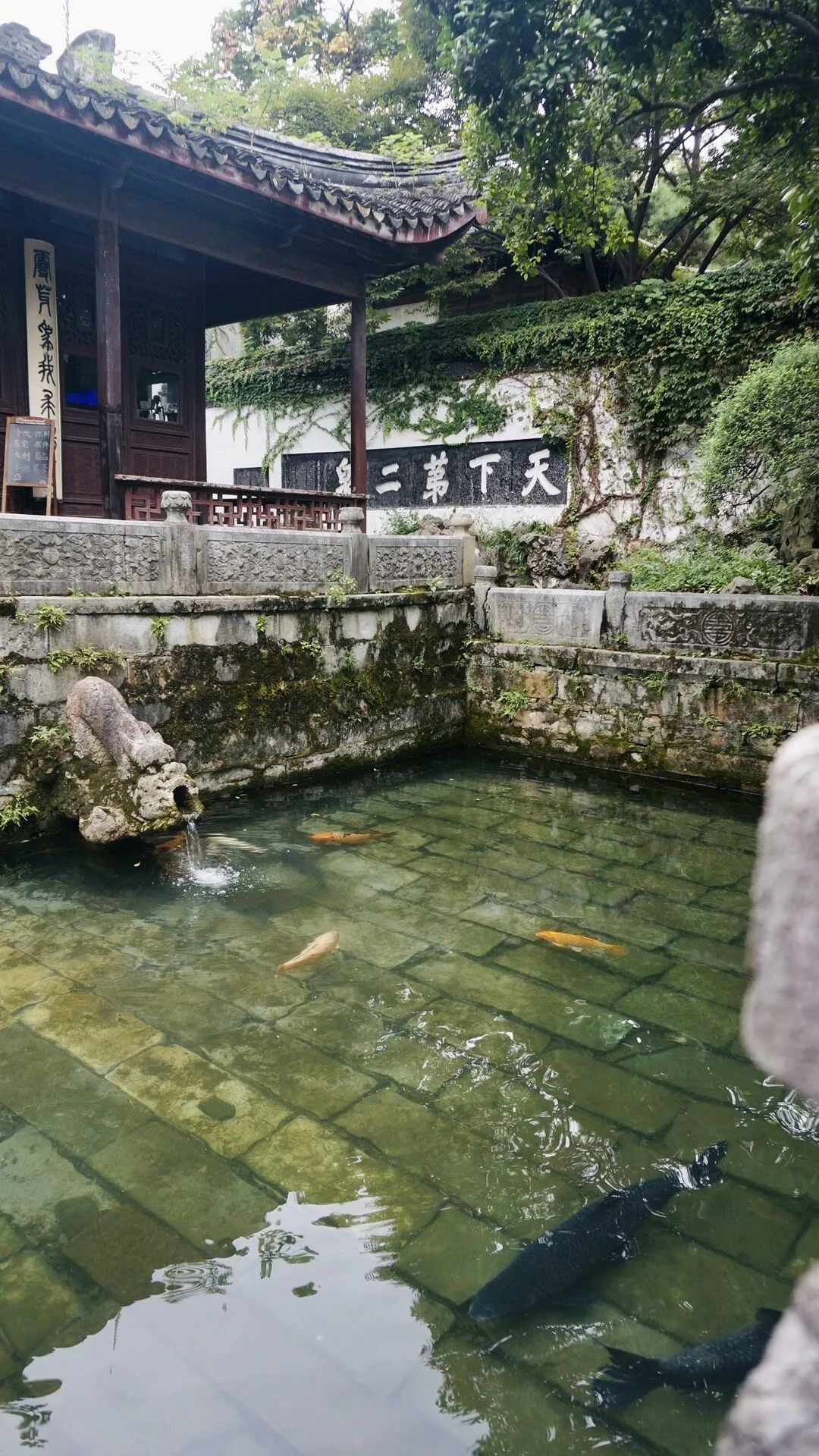 景区|天下第二泉清池！猜猜捞出了多少硬币？