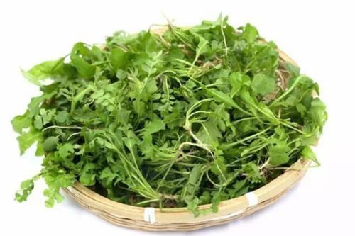 肝脏|真正的“护肝菜”就是它,隔三差五吃,养肝护肝,肝脏越来越健康