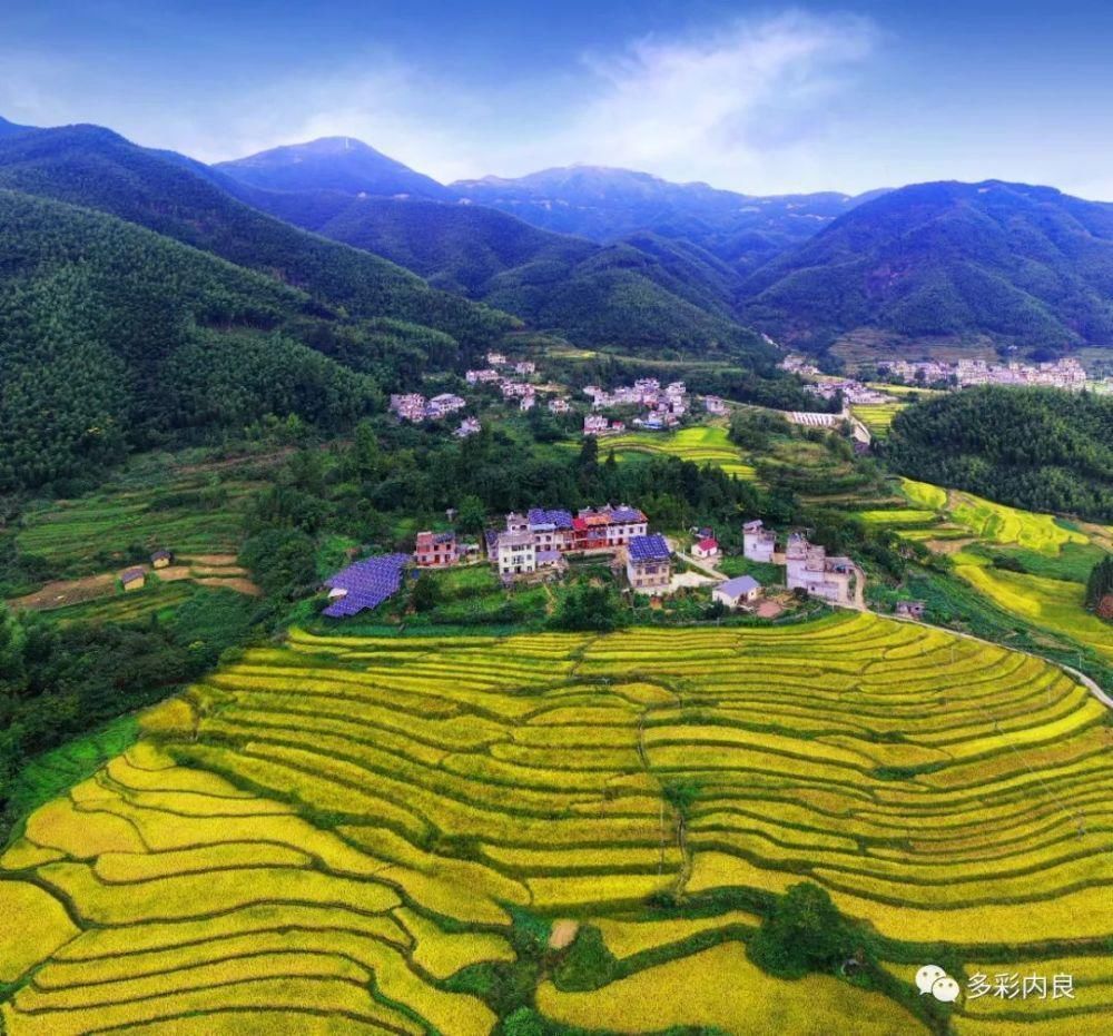 明目止烦|喝着山泉水长大的内良高山稻米，认识一下