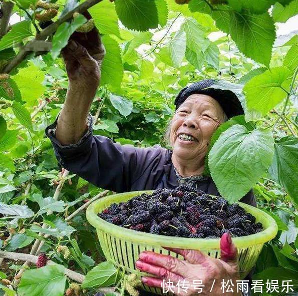 土耳其|建议中老年少吃猪羊肉，对自己好点多吃这几样，腿脚有劲不显老