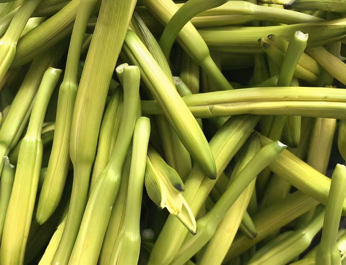 胡萝卜炒鸡蛋|聪明人爱吃三种食物，营养丰富、延缓衰老，身体棒棒哒！