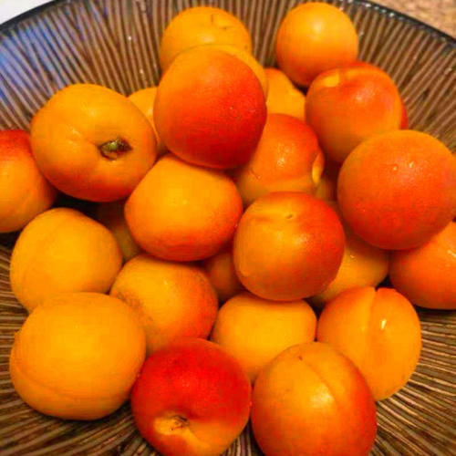 夏天，碰到此碱性水果别手软，一次性囤20斤，放冰箱冷藏，特省事