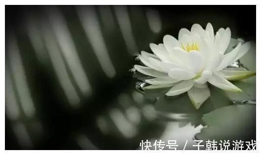 大师#好人没好报,祸害遗千年?听听三位大师的开示,疑惑全解