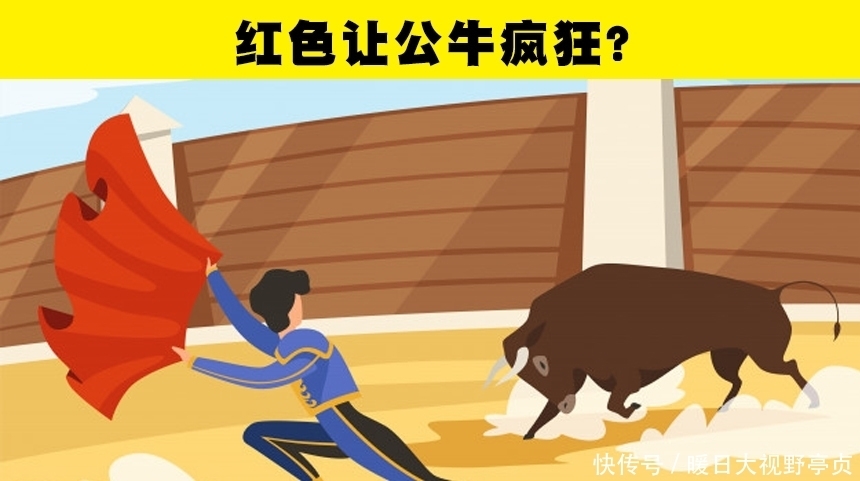 红色并没有办法刺激公牛!一直以来你可能错误相信着的5个小知识