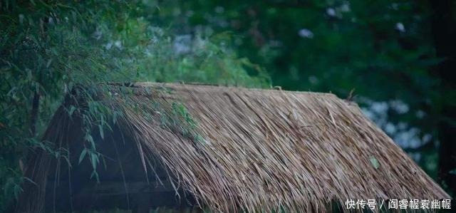 变得|“至乐无乐,至誉无誉”人一旦开始追求快乐,就会变得不快乐