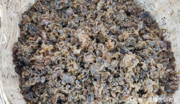 春天里最好吃的9种野菜,再不吃,过了这个月,就要等一年才能有