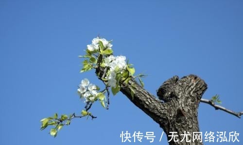 师爷|这些冷知识，课本上可不会告诉你！瞬间涨了姿势！