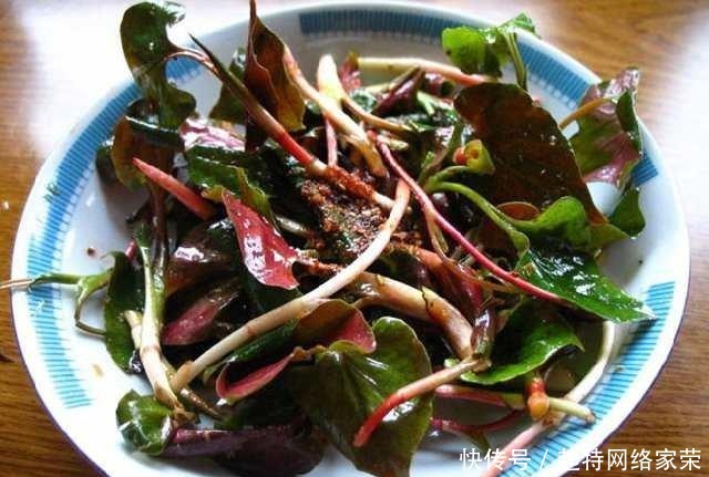 却是|这种菜很难吃, 却是天然的抗癌明星, 可惜好多人都不知道