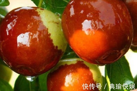 种植|提高免疫力、保护肝脏的枣,农民教你种植技巧收获优质高产枣!