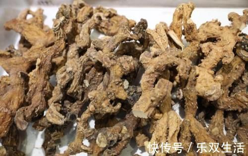 黄精|走近中药：古人为何推崇黄精，它有哪些特点？可分为4种
