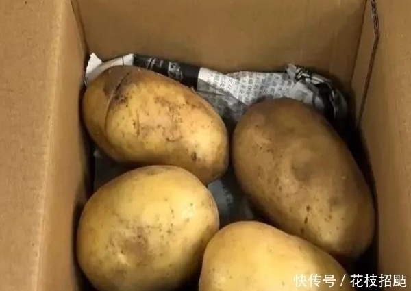 土豆|天热土豆买多了,不要放进冰箱教你和它放一起,放半年都不发芽