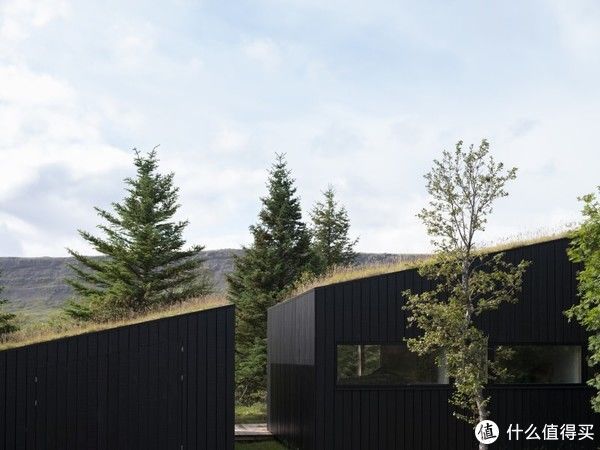 湖面|年薪百万的设计师,让千万豪宅,长满杂草,网友却夸:设计太好了