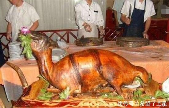 封禁|残忍!被封禁的中国11大残忍禁菜你们知道吗看到最后算你狠!