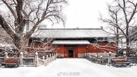 初雪|初雪遇大寒 瑞雪兆丰年