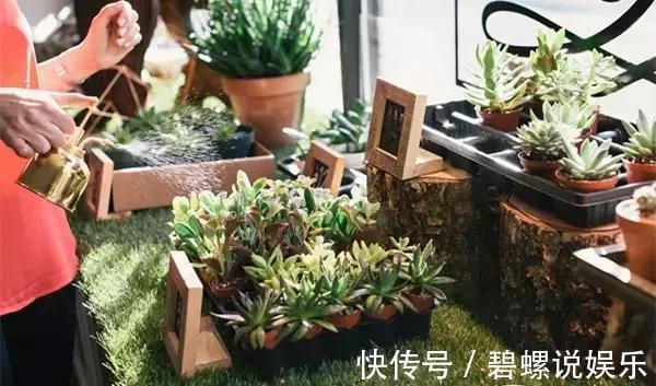 淘米水|很多人问淘米水能直接浇花吗一个步骤教你将其变成绝佳肥料!