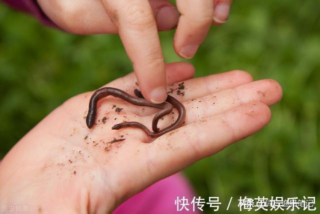 七岁小孩琢磨出的蚯蚓钓鱼绝招,竿竿中大鱼,湖边大人纷纷效仿