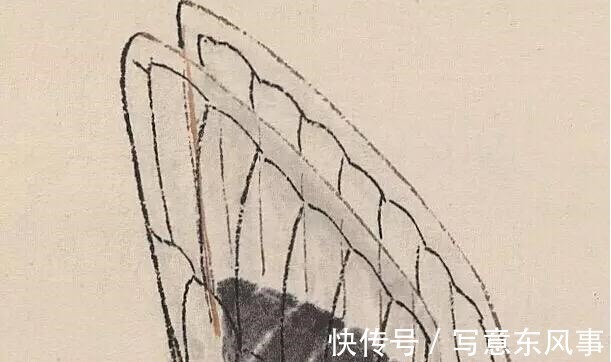 蝉#齐白石的《蝉》为何能拍出8亿天价放大40倍再看,细节决定一切!