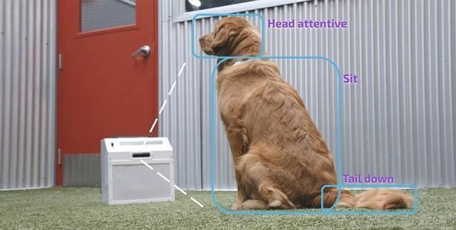 参与|CompanionPro:无需人参与的狗狗AI训练机器