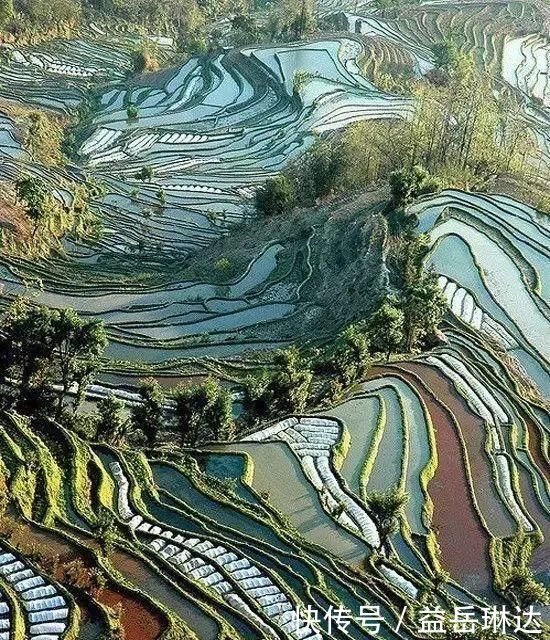 太美了，世界照片今天终于传来，罕见至极，一睹为快