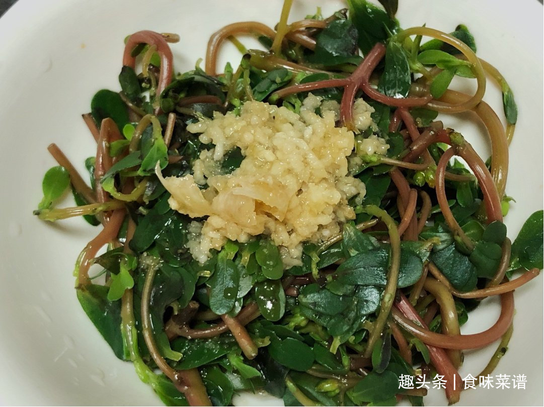 马齿苋|此8种野菜不用花钱买,来认识一下,营养高味道好,错过等明年了