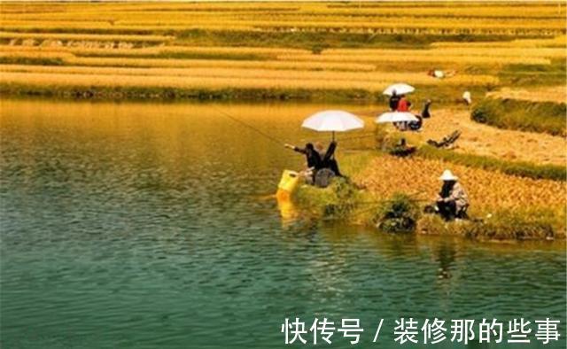 鱼情|秋钓5大秘诀：看、选、找、定、饵，遵守这些原则，大鱼连竿上