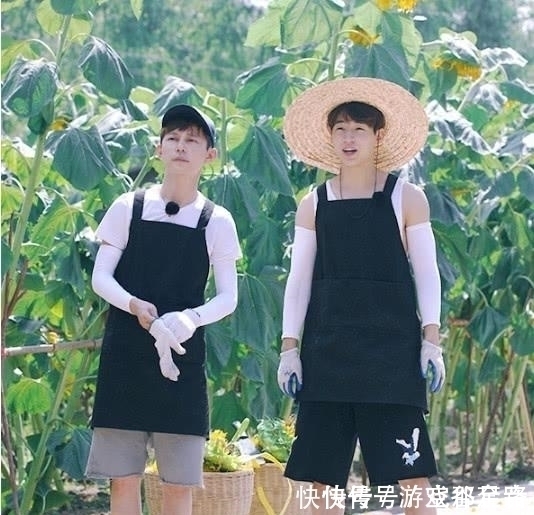 sm公司|刘宪华宣布单飞,圈中好友集体失声,何炅的回复却暖哭众人