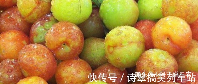 营养价值|李子酸甜可口,具有丰富的营养价值,收获优质李子,只需掌握三点