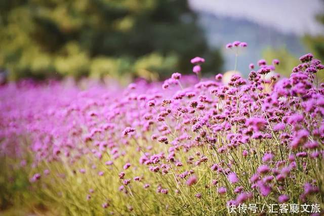 老年|如果一生只去一次新疆,这些地方你一定要知道