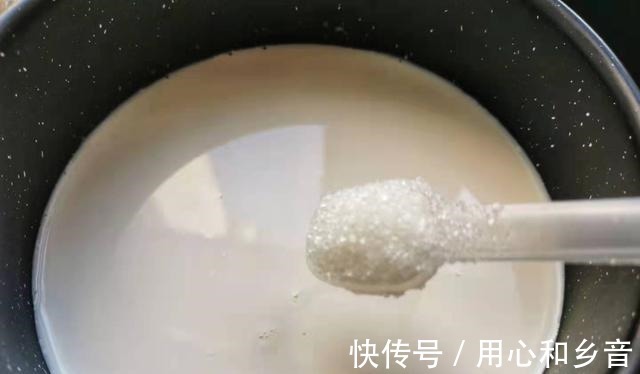 姜撞奶|夏天的姜这样吃香甜可口，掌握3个关键点，在家做也能百分百成功！