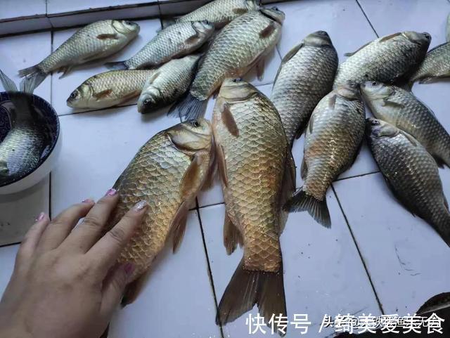 鱼类|在德国钓鱼“人很惨”,在中国钓鱼“鱼很惨”,差距咋这么大呢?